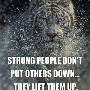 Meet your Posher, Jc